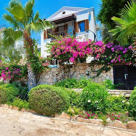 Stunning Seaviews ヴィラ