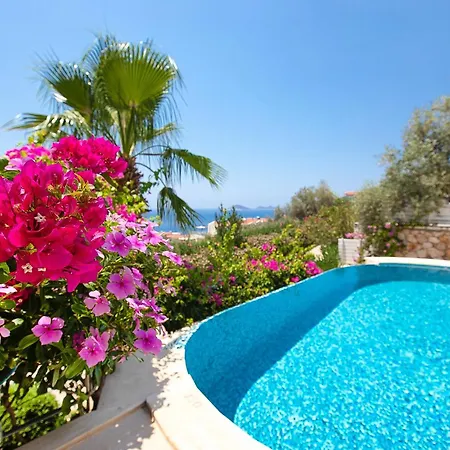 ヴィラ Stunning Seaviews *